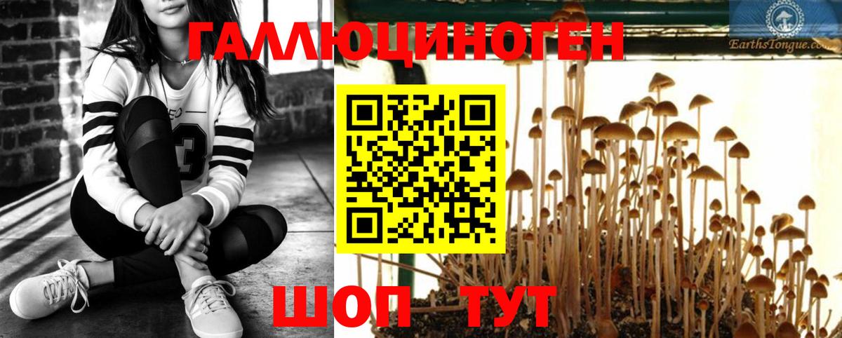 Псилоцибиновые грибы ЛСД Мариинск