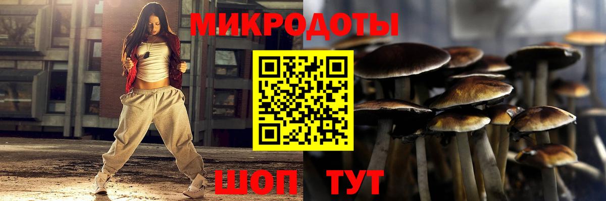 купить   Вход с VPN  Мариинск  Галлюциногенные грибы Magic Shrooms 